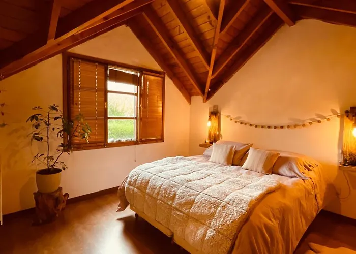 Mini Hostel Casa Nomada